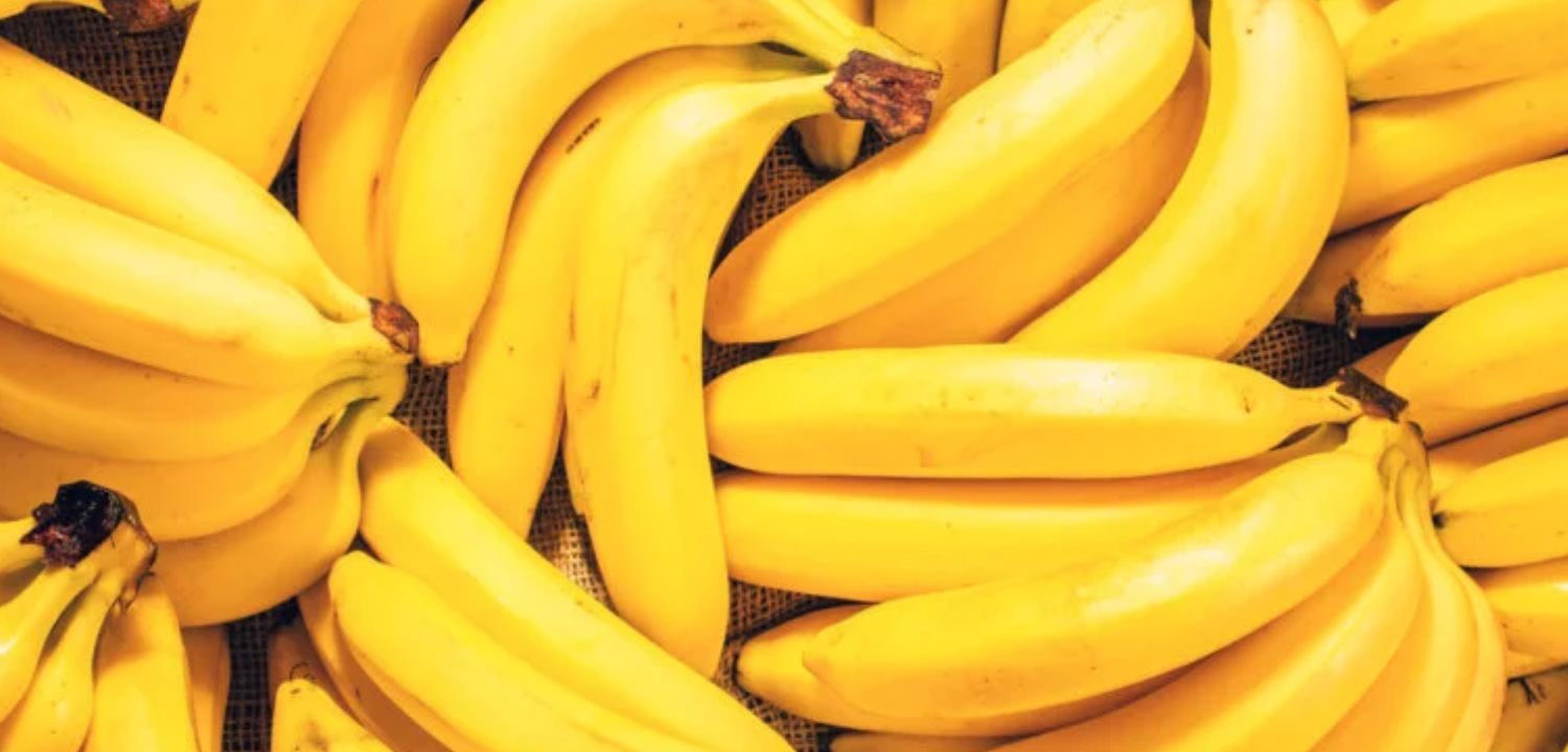 News Banner Jangan Anggap Remeh, Ini Dia Manfaat Buah Pisang yang Bagus untuk Tubuh!